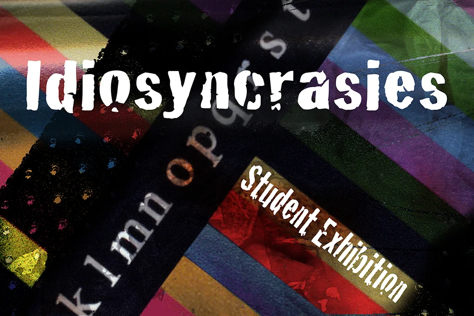 Idiosyncrasies exhibition image.