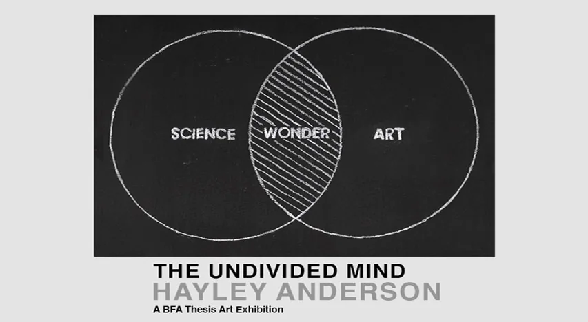 The Undivided Mind exhibition image.