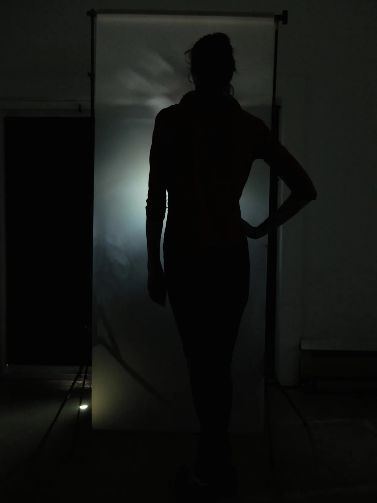 Archived image from Interviews: A Camera Obscura Installation.