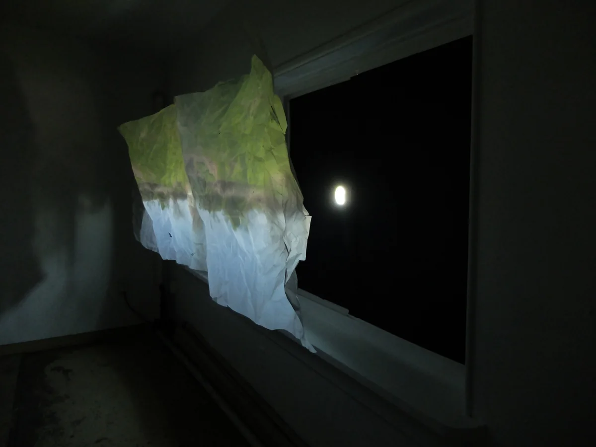 Archived image from Interviews: A Camera Obscura Installation.