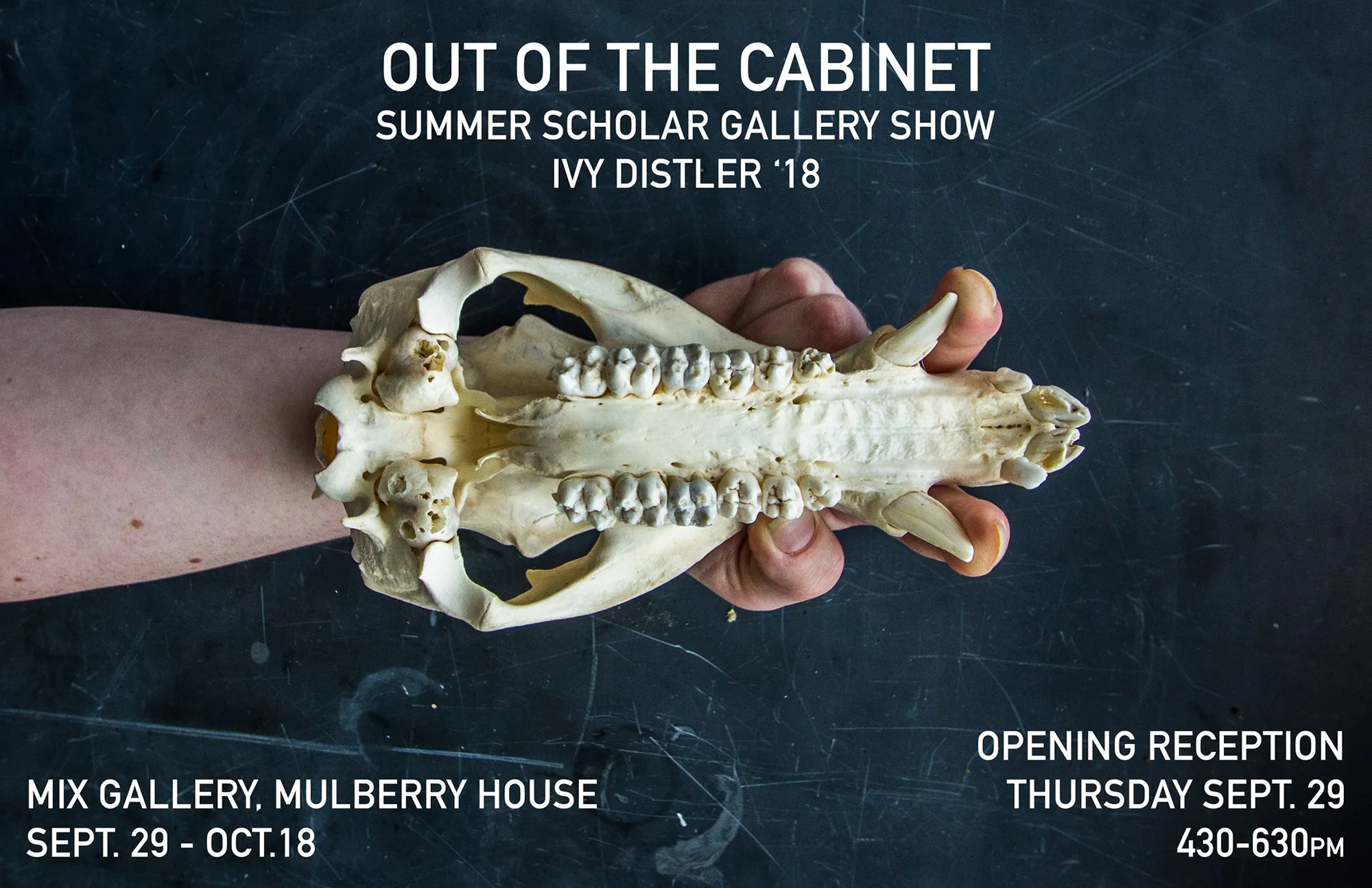 Out of the Cabinet exhibition image.