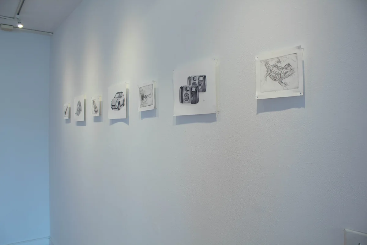 Archived image from Senior Studio Art Minor Show.