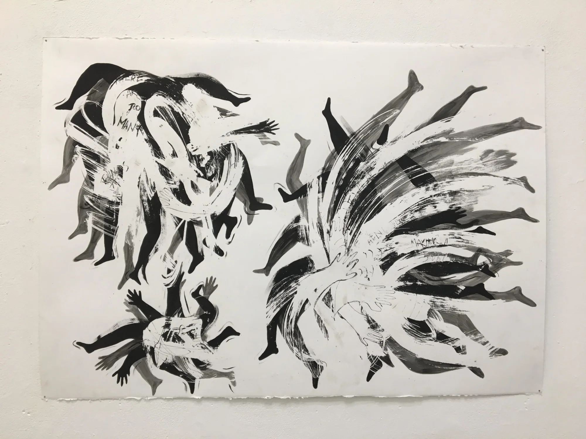 Skin and Bones of a Disorganized Body exhibition image.