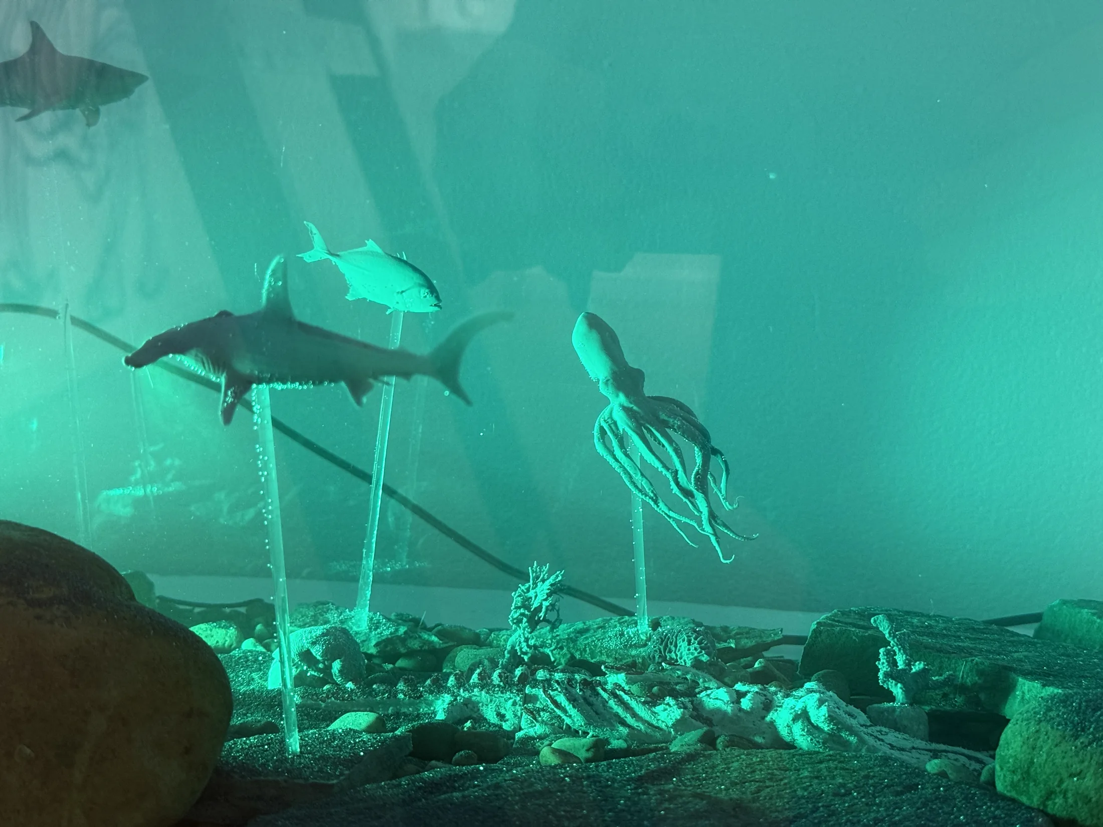 Illuminated aquatic installation view from Pixels to Pieces.