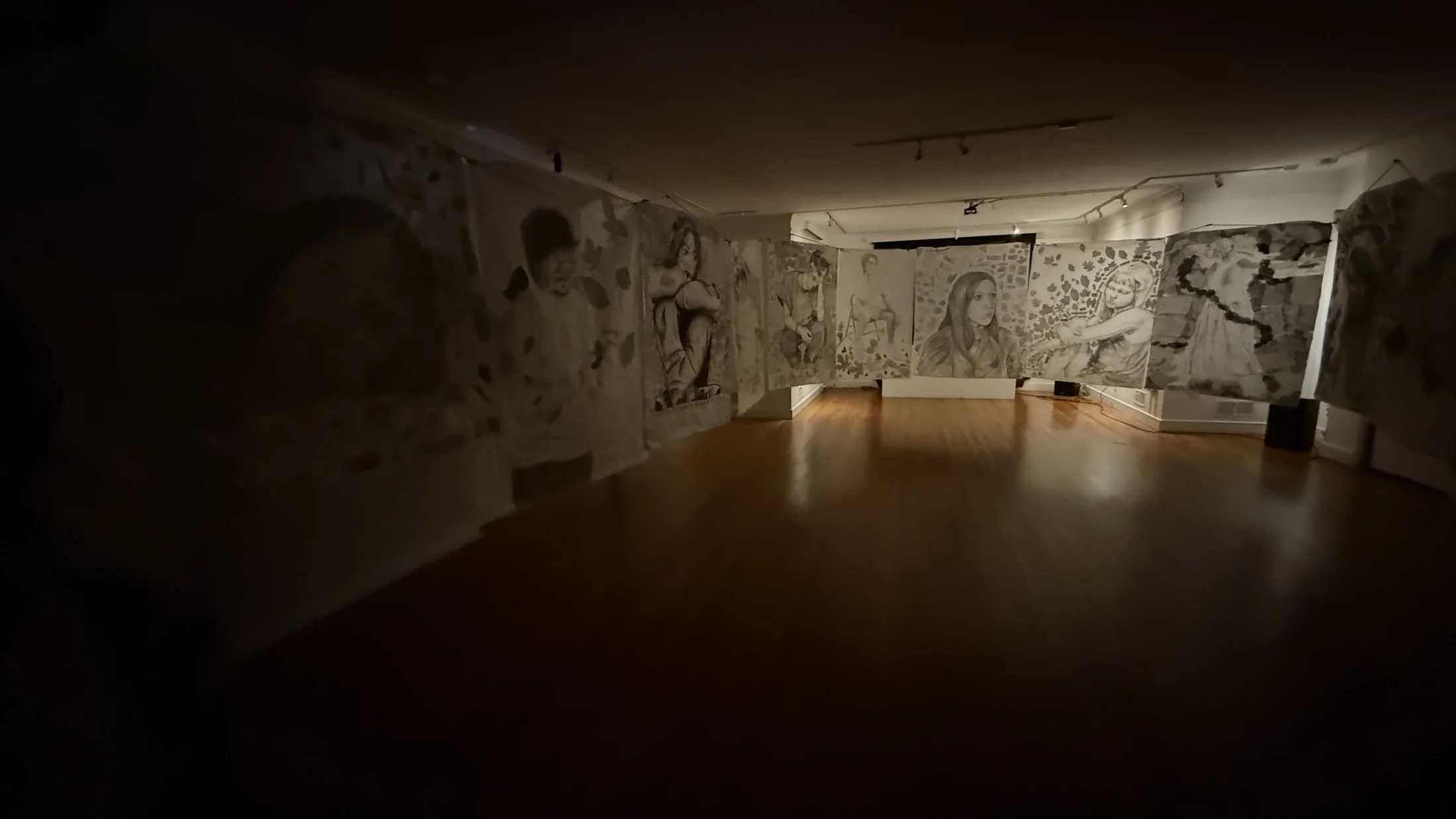 Darkened installation view of Cave of Forgotten Dreams.