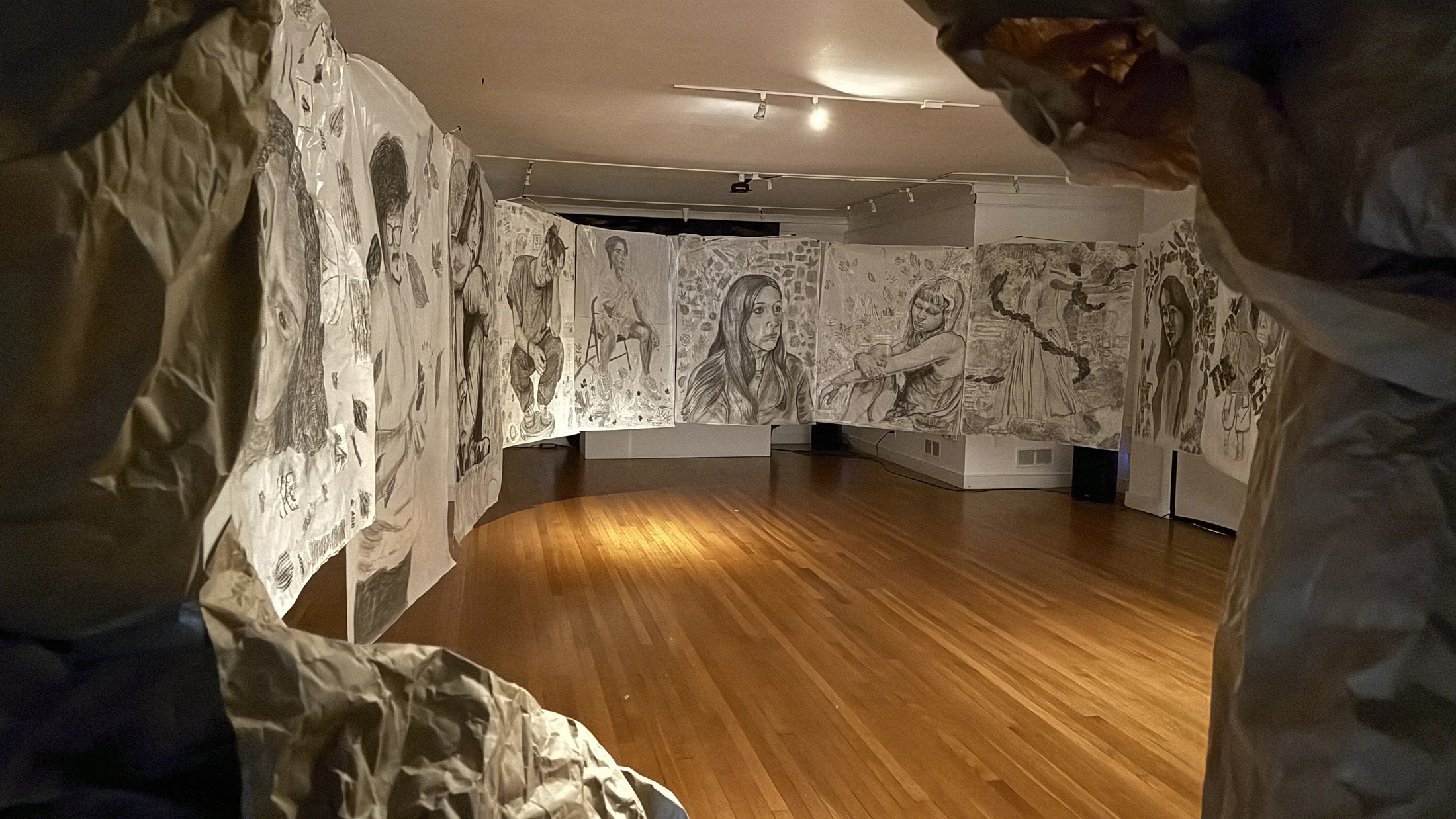 Installation view of Cave of Forgotten Dreams.
