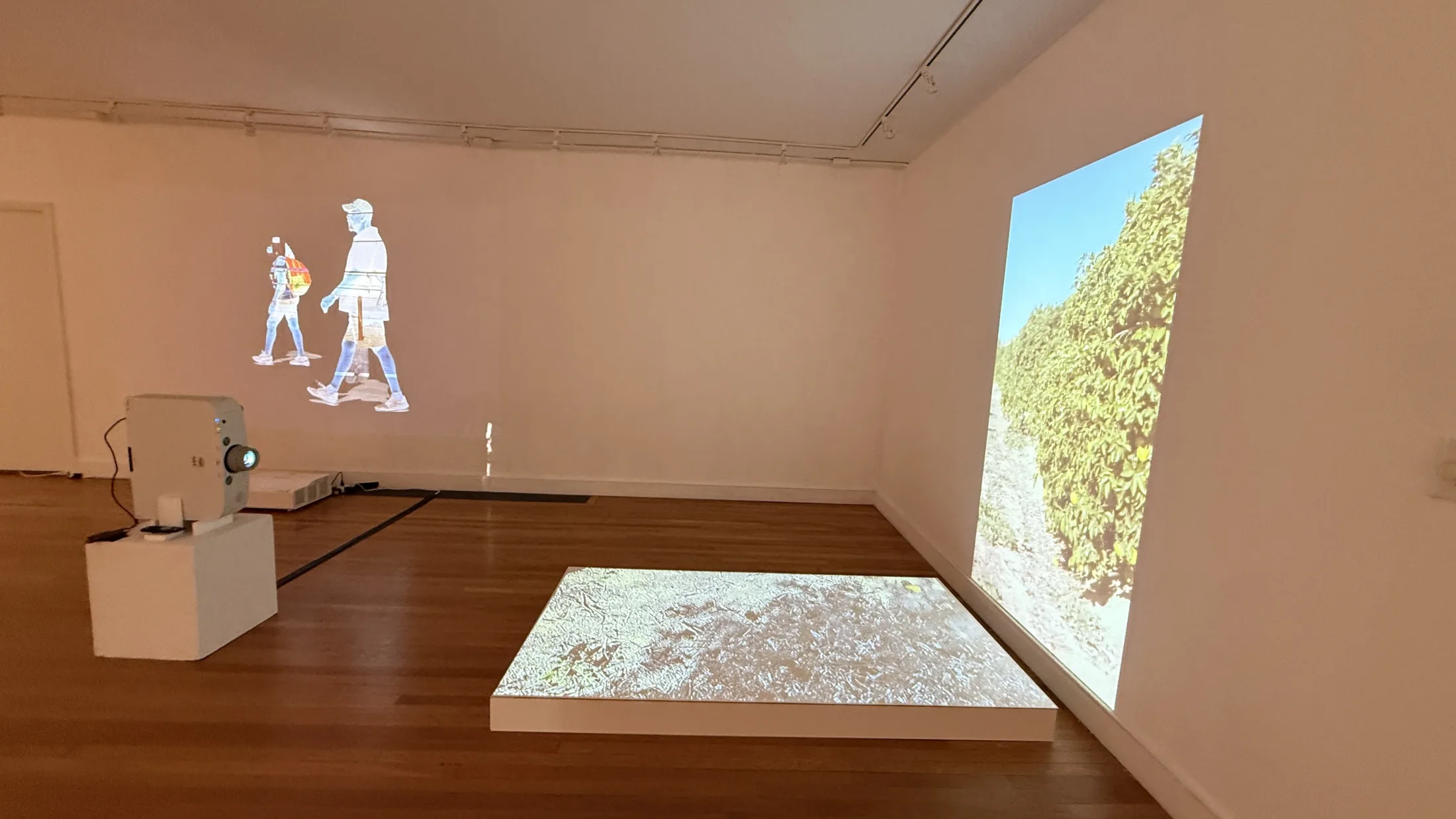 Video installation view in Displacement Weaves.