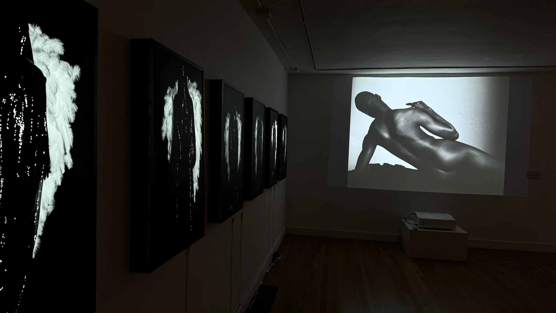 Installation view with projection and lightboxes in Heaven on Earth.