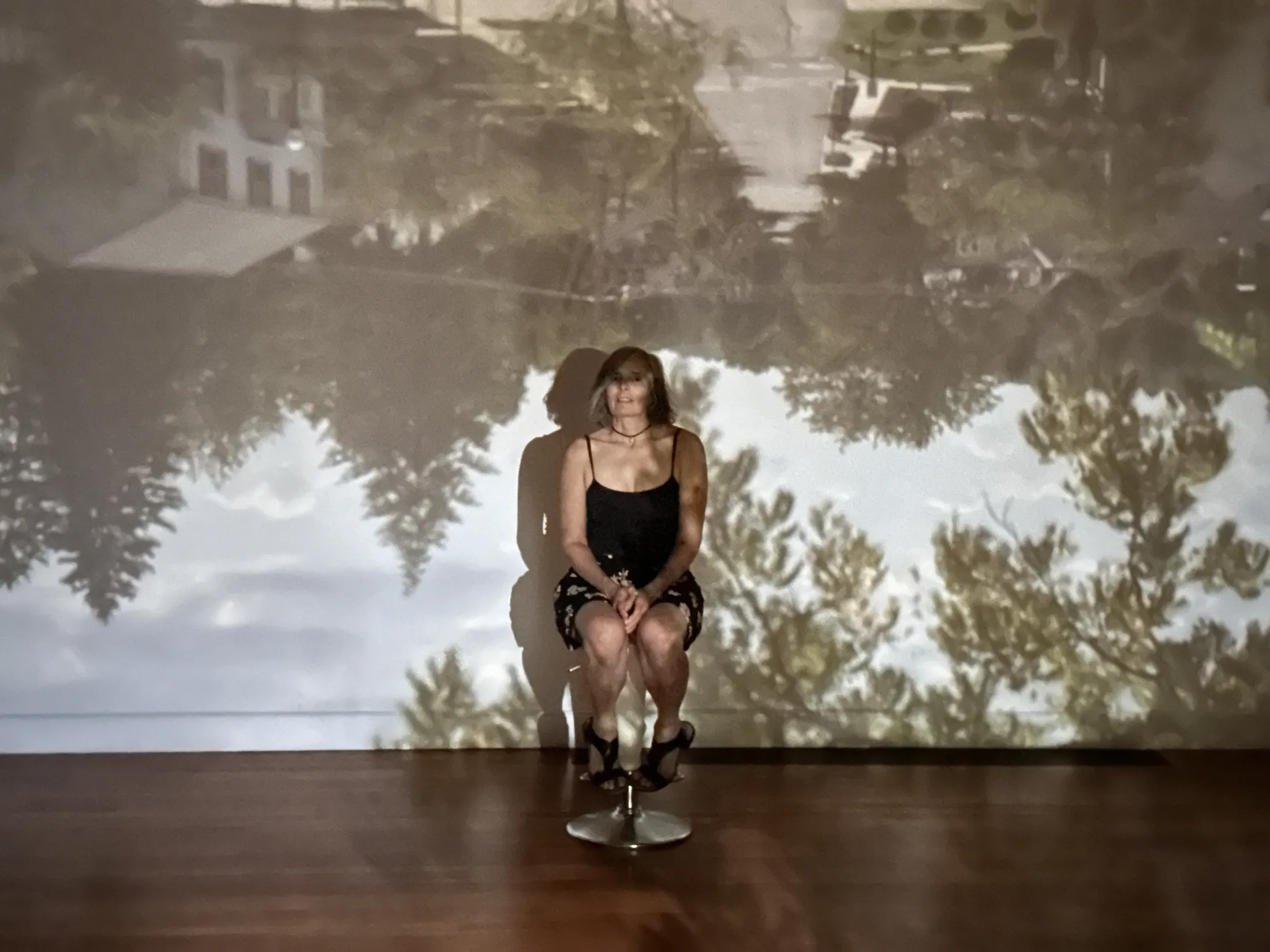 A seated visitor surrounded by the inverted projected image in Camera Obscura.