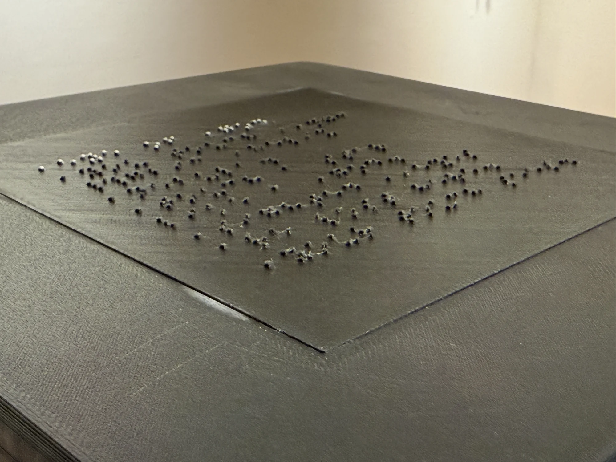 Small raised dots arranged across a dark surface.